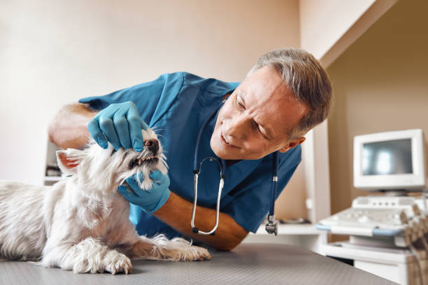 Best After-Hours Emergency Dentist in Duncanville, TX